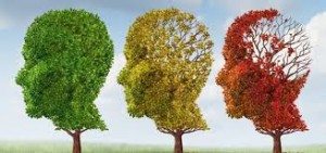 Embracing the Issues of Aging: Alzheimer's Disease Prevention Educational Seminar @ Elmwood Hall- Danbury Senior Center | Danbury | Connecticut | United States