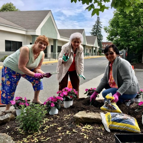 Elmwood Hall Garden Club Summer Planting!