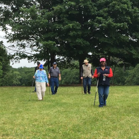 Hike at Tarrywile - Crossing the Field