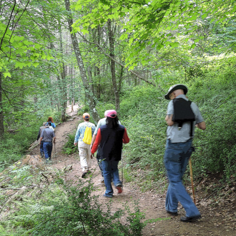 Hike at Tarrywile - on the Trail!