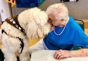 Visit with Logan, the Elmwood Hall Senior Center Therapy Dog @ Elmwood Hall Danbury Senior Center | Danbury | Connecticut | United States