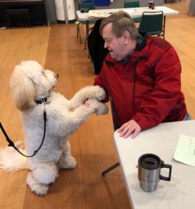 What's the Difference Between and Therapy Dog, Emotional Support Dog, and a Service Dog? @ Elmwood Hall Danbury Senior Center | Danbury | Connecticut | United States