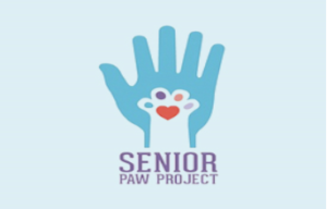 Senior Paw Project- Lunch and Learn - Catherine Violet Hubbard Foundation @ Elmwood Hall Danbury Senior Center | Danbury | Connecticut | United States